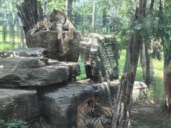-秦皇岛野生动物园