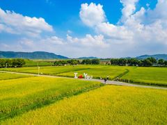 -光明小镇欢乐田园