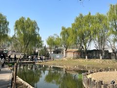 -春风习习