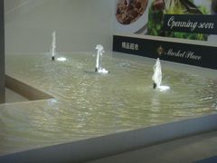 -鹏欣水游城