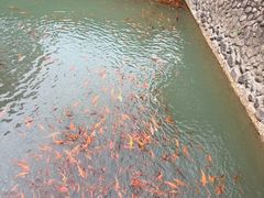 -楠溪江风景名胜区