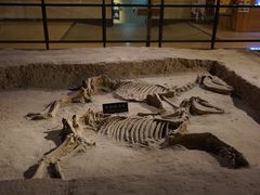 -洛阳周王城天子驾六博物馆