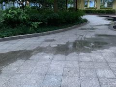 -广西大学(大学东路校区)