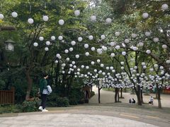 -天目湖山水园