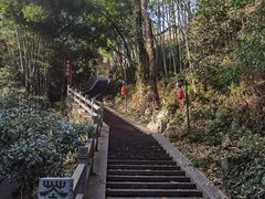 -龙井村