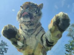 -西霞口神雕山野生动物世界