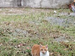 -敬亭山风景名胜区