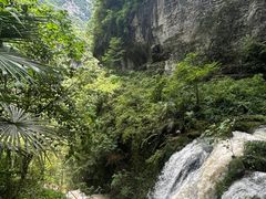 -鹿院坪生态旅游景区