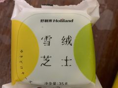 -蒲公英(五里店)