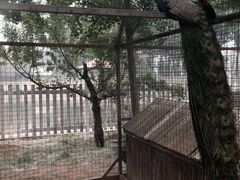 -意大利农场度假村