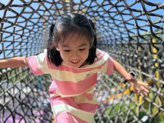 -美的鹭湖探索王国