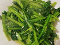 -煲来饱去冷水鱼