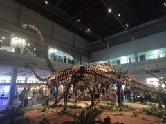 -自贡恐龙博物馆