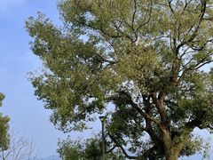 -东钱湖旅游度假区