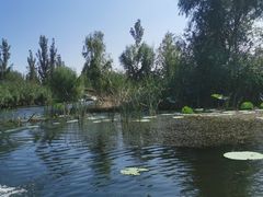 -白洋淀景区