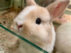 -龙猫仔乐园(惠福东路店)