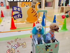 -金茂览秀城