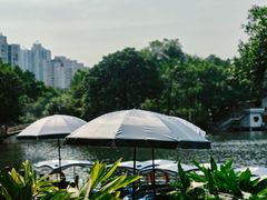 -晓港公园
