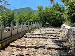 -阳台山自然风景区