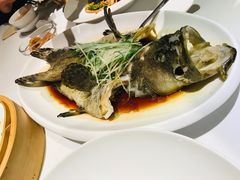 清蒸石斑鱼-鱼乐轩(珠江路店)