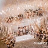 统筹师：陈小红 喜欢的新人宝宝私信呀