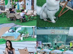 -棕榈MALL