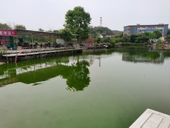 -荔枝红五号农庄