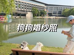 -上海佘山世茂艾美酒店