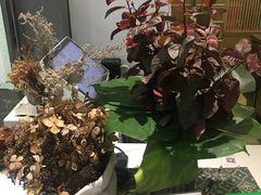 -扫雪煮茶(西村店)
