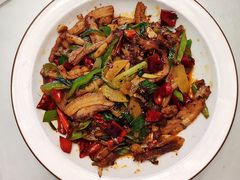 -柴窝堡22号辣子鸡·传承新疆菜