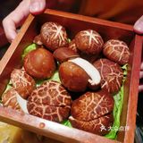 深圳｜这家花胶鸡我爱惨了