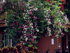 -西双版纳傣族园