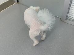 -心仪动物医院·牙专科·肿瘤·心脏科(西客站院)