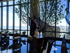 -大连君悦酒店·星海湾壹号Dalian·Dalian(星海广场店)