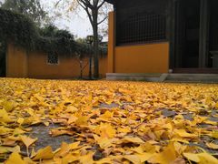 -苏州上方山国家森林公园