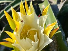 -尚果生态采摘园