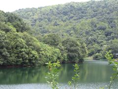 -桃花岭景区