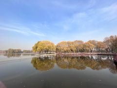 -石家庄市植物园