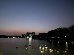 -东华大学(松江校区)