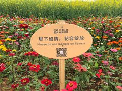 -光明小镇欢乐田园