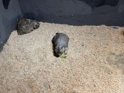 -酷嗒动物文化乐园(cutezoo西溪乐天城店)