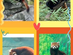 -常州淹城野生动物世界