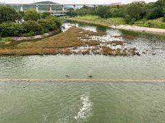 -济南国际园博园