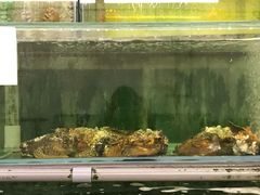 -双天海鲜楼
