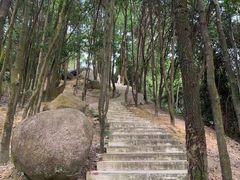 -火炉山森林公园