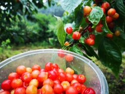 -P.STYLE派斯造型