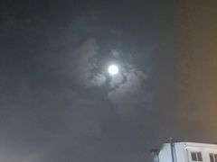 -杨家崴子碳缸烧烤(东三马路店)