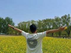 -天津武清北运河郊野公园房车露营地