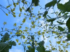 -西南政法大学(渝北校区)