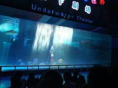 -泉城欧乐堡海洋极地世界